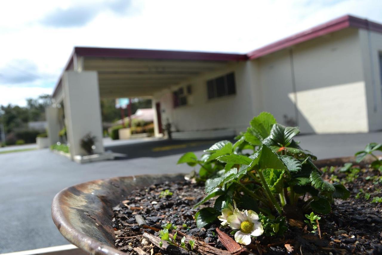 Wattle Motel Seymour Luaran gambar